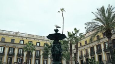 Martı çeşme yer Reial üzerinde oturuyor