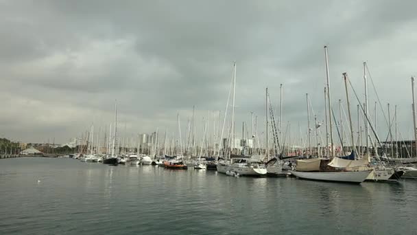 Yachts sous le soleil — Video