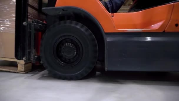 Logistique entreprise et installation d'expédition avec travailleur manuel opérant chariot élévateur à fourche pour déplacer des boîtes et des marchandises, homme travaillant dans un entrepôt, travailleur dans l'industrie — Video