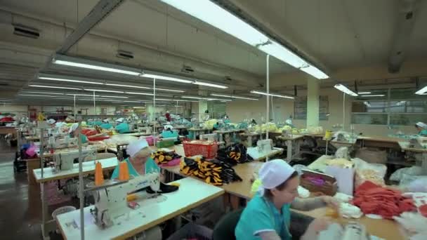 Arbetare i kläder avdelning — Stockvideo