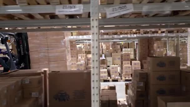 Autista di carrelli elevatori in una fabbrica o magazzino che guida tra file di scaffalature con pile di scatole e materiali da imballaggio — Video Stock