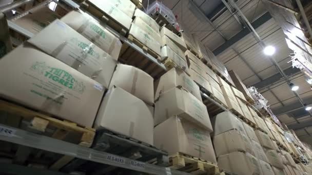 Caixas de papel estão nas prateleiras do armazém — Vídeo de Stock