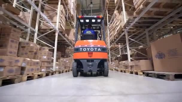 Targonca teherautó mozog között nagy fém polcokon egy Modern raktárépület, és kirak raklapok karton dobozok — Stock videók