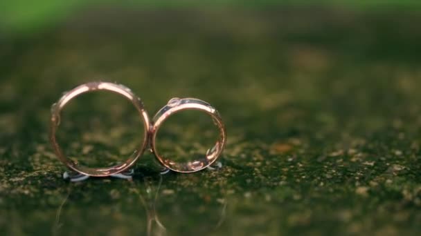 Zlaté prsteny jsou Green Rain Falls — Stock video