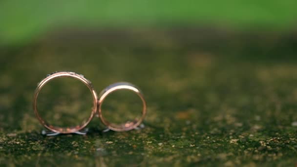 Cincin emas adalah Air Terjun Hujan Hijau — Stok Video