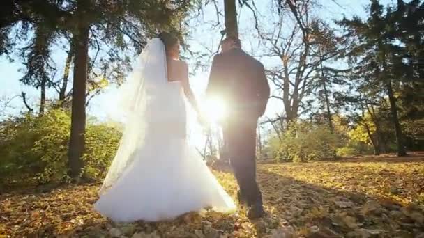 Matrimonio coppia a piedi luce del sole — Video Stock