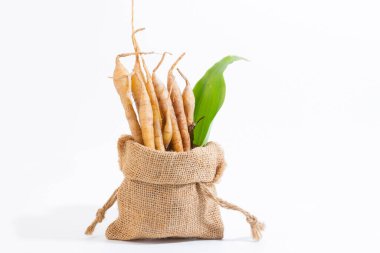 Kaempferia tıbbi bir bitkidir. Sıcak ve acı bir tadı var, mide ağrısını, şişkinliği, hazımsızlığı, toniği, cinsel iktidarsızlığı tedavi etmek için libidoya toniği hafifletiyor. - Evet. Hemoroidler için bir ilaçtır.. 