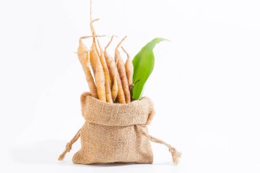 Kaempferia tıbbi bir bitkidir. Sıcak ve acı bir tadı var, mide ağrısını, şişkinliği, hazımsızlığı, toniği, cinsel iktidarsızlığı tedavi etmek için libidoya toniği hafifletiyor. - Evet. Hemoroidler için bir ilaçtır.. 