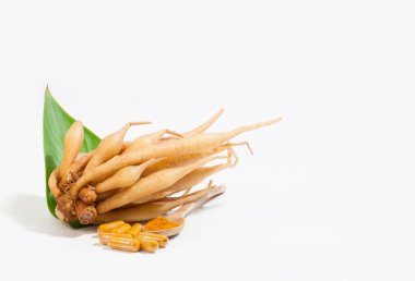 Kaempferia tıbbi bir bitkidir. Sıcak ve acı bir tadı var, mide ağrısını, şişkinliği, hazımsızlığı, toniği, cinsel iktidarsızlığı tedavi etmek için libidoya toniği hafifletiyor. - Evet. Hemoroidler için bir ilaç. Kapsül, sarı hap. 