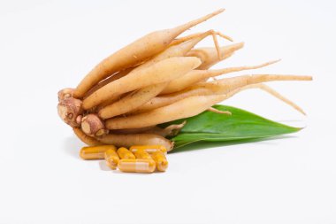 Kaempferia tıbbi bir bitkidir. Sıcak ve acı bir tadı var, mide ağrısını, şişkinliği, hazımsızlığı, toniği, cinsel iktidarsızlığı tedavi etmek için libidoya toniği hafifletiyor. - Evet. Hemoroidler için bir ilaç. Kapsül, sarı hap. 