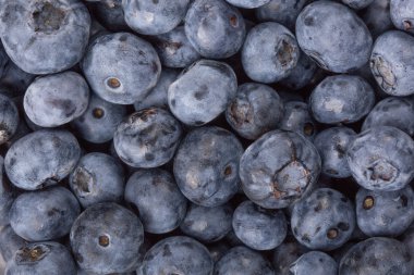 Taze yaban mersini yakın çekim, arka plan