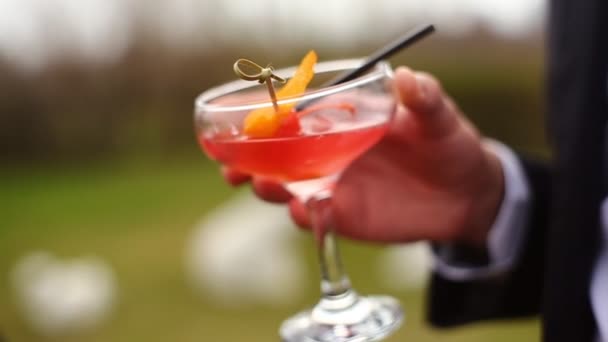 Hand som håller en martini drink — Stockvideo