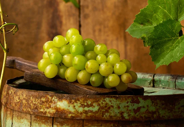 Grapes on a barrel — Stock Photo, Image