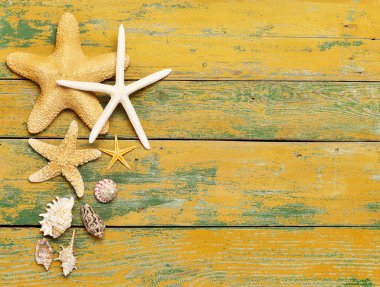 Starfishes ve kabukları ahşap üzerine