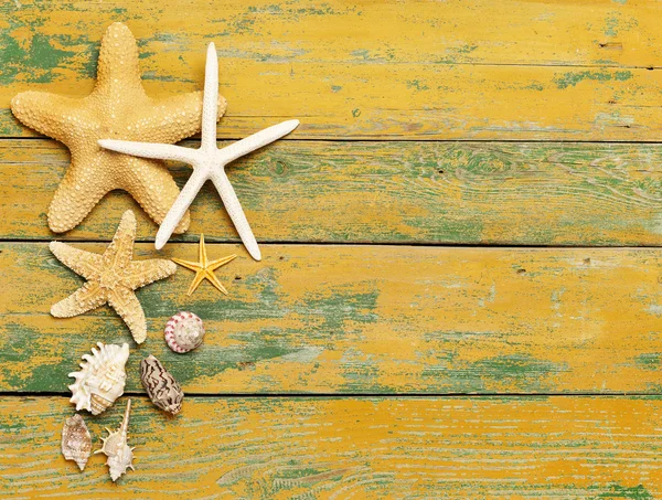 Starfishes and shells on wood — Stock Photo, Image