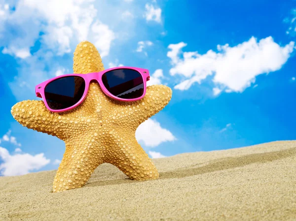 Étoile de mer fraîche avec lunettes de soleil — Photo
