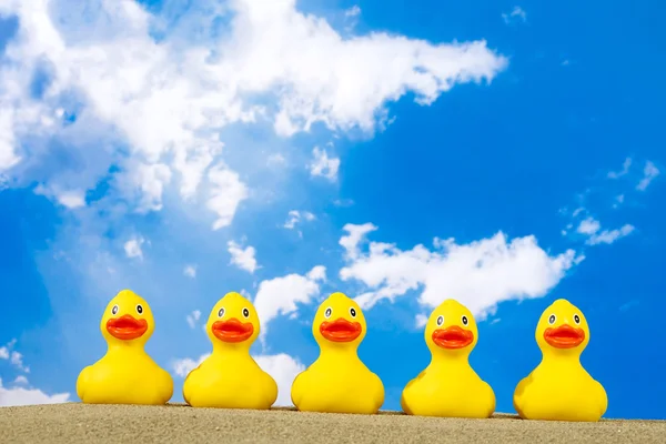 Canards en caoutchouc sur la plage — Photo