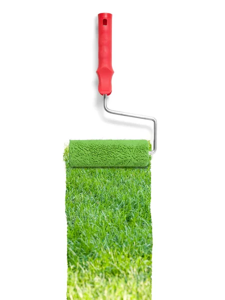 Painting with grass — Stock Photo, Image