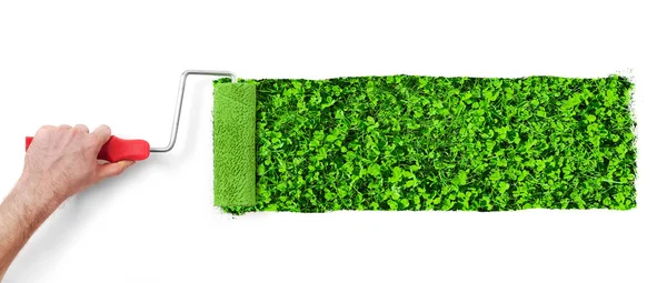 Painting the wall with grass — Stock Photo, Image
