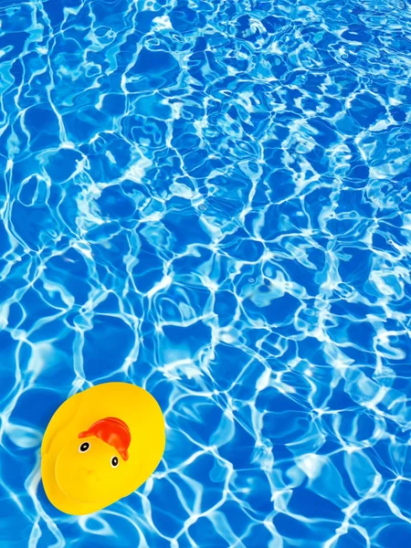Pato de goma en el agua — Foto de Stock