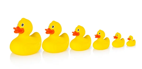 Descending rubber ducks in a row — Stock Photo, Image