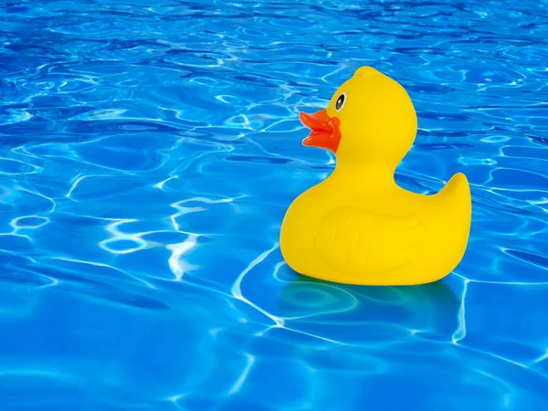 Pato de goma en el agua — Foto de Stock