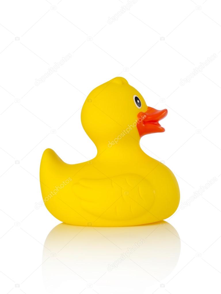white rubber duck