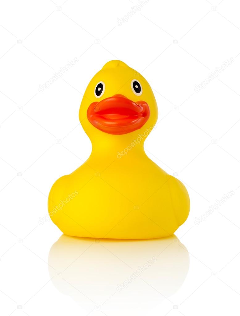 Rubber duck on white