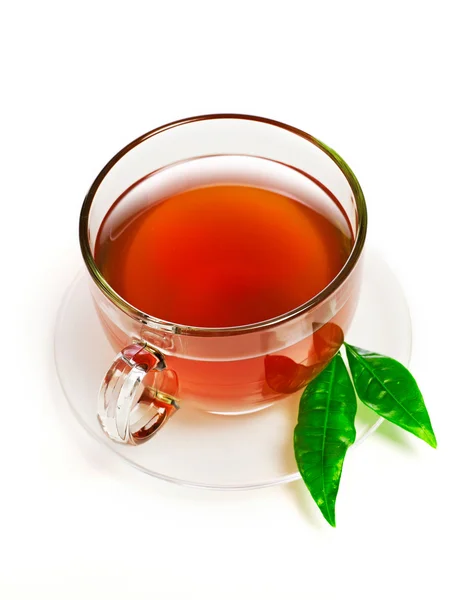 Tè su bianco — Foto Stock