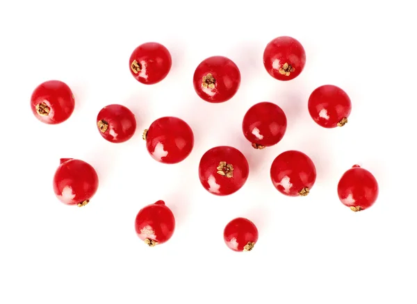 Cranberries on white — Stock Photo, Image