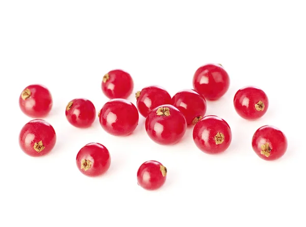 Cranberries on white — Stock Photo, Image