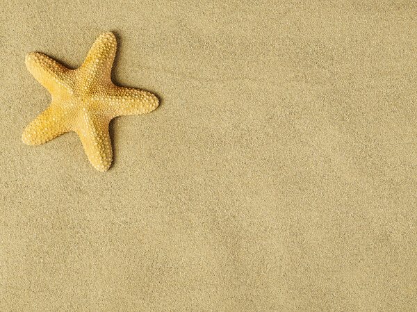 Starfishes on sand