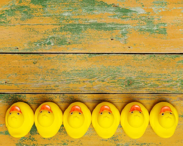 Canards en caoutchouc sur bois — Photo