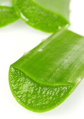 aloe vera beyaz