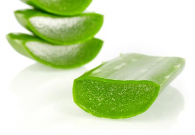 aloe vera yakın çekim