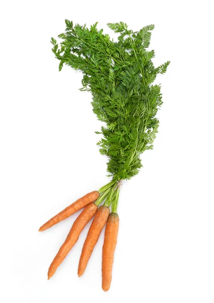 Zanahorias frescas sobre blanco — Foto de Stock