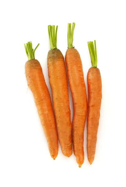 Καρότα σε λευκό — Φωτογραφία Αρχείου