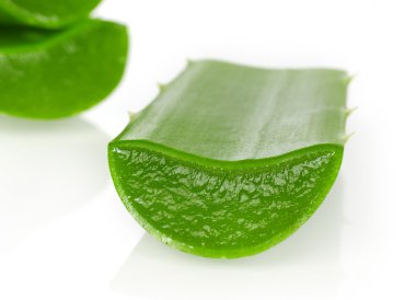 aloe vera yakın çekim