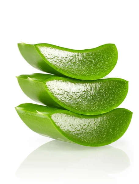 Aloe Vera fehér — Stock Fotó