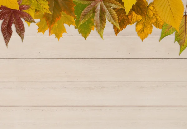 Jesienią liście na drewno — Zdjęcie stockowe