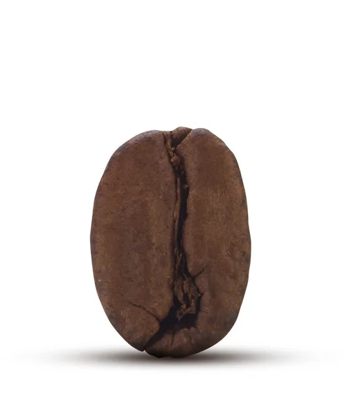 Coffee bean isolated — Stock Photo, Image