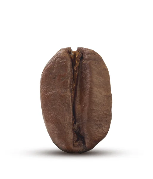 Coffee bean on white — Stock Photo, Image