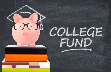 Üniversite fonu kavramı