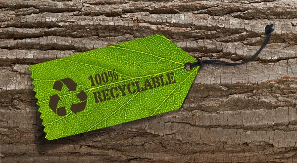 Тег Recycle на коре дерева — стоковое фото