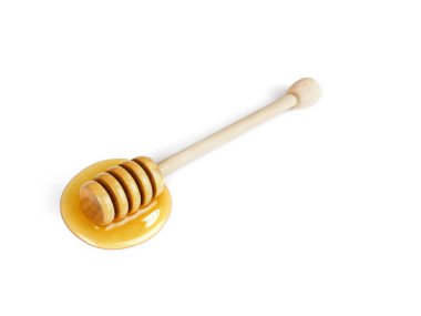 beyaz üzerine bal ayı