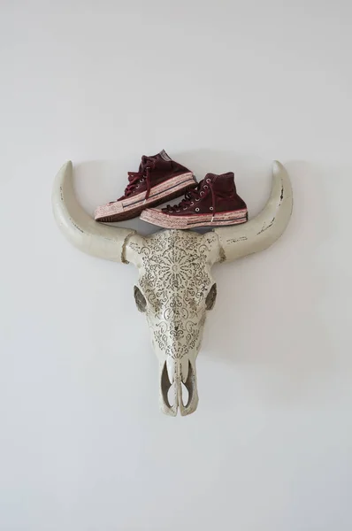 Sneakers Sul Muro Sulla Testa Toro — Foto Stock