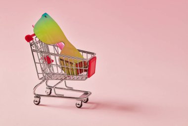 Pembe arka planda güneş gözlüklü alışveriş arabası.