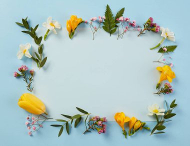 mavi arkaplanda bahar çiçekleri