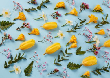 mavi arkaplanda bahar çiçekleri