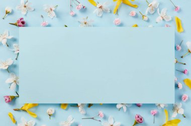 mavi arkaplanda bahar çiçekleri